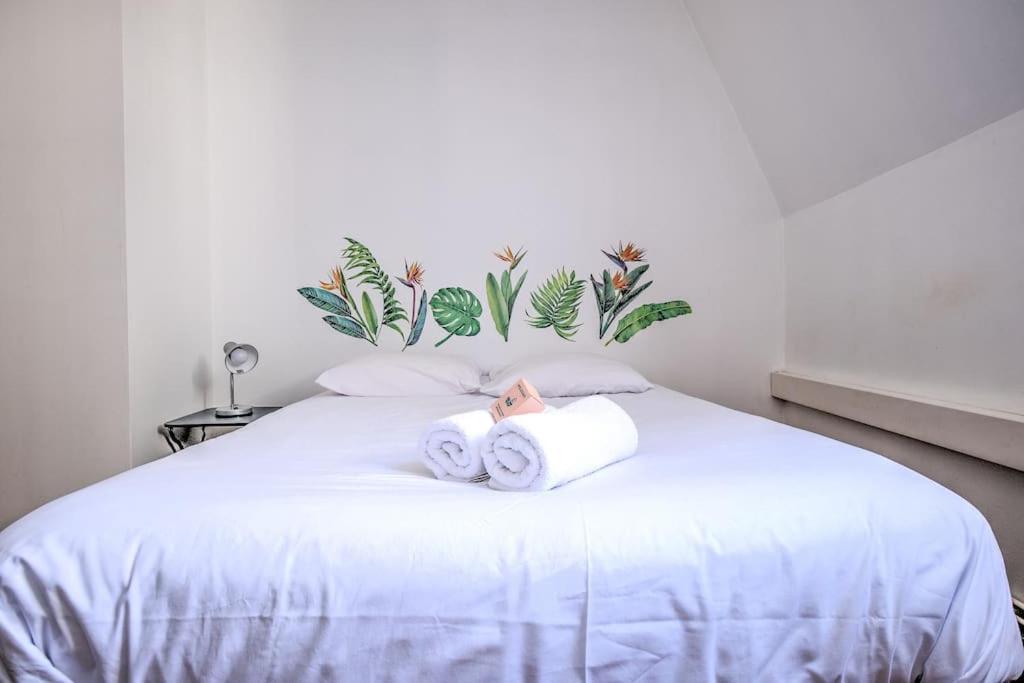 Le Jardin Suspendu Charme & Calme En Centre Ville Périgueux Kültér fotó